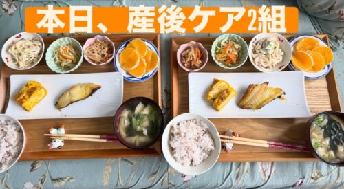 産後ケア：2組のママと赤ちゃん