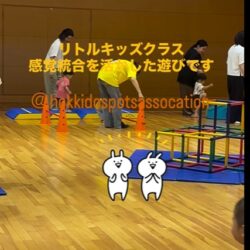 感覚統合を活かした遊び