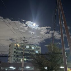 中秋の名月にやってきた
