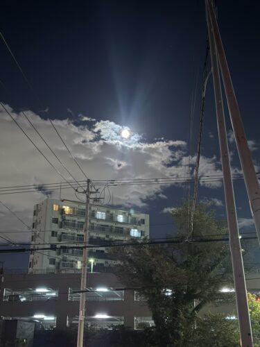 中秋の名月にやってきた